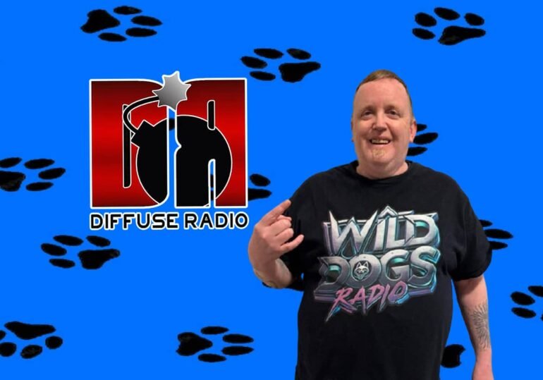 the diffuse radio blue background with black dog prints